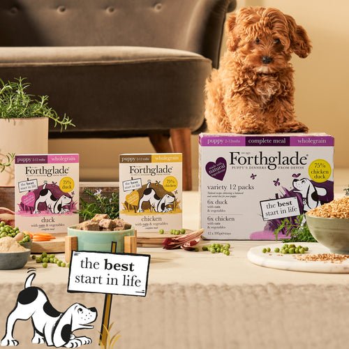 Forthglade Puppy Complete Wholegrain Duck & Chicken Duo Variety Pack 12x395g, Forthglade,