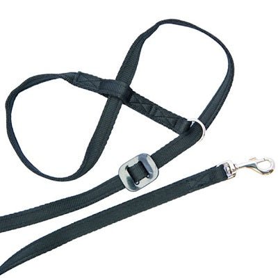 Gencon All-In-One Clip to Collar Headcollar & Lead, Gencon, Black