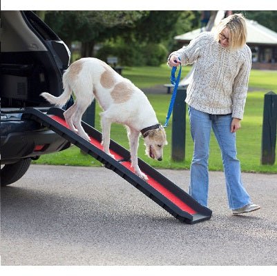 Henry Wag Lightweight Folding Dog Ramp Single, Henry Wag,