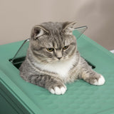 Hooded Cat Litter Box with Scoop, Easy-Clean Design, 47.5L cm, PawHut, Green