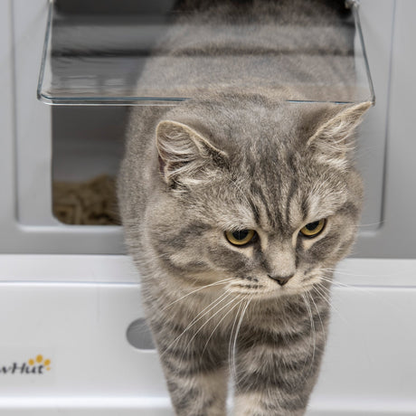 Hooded Cat Litter Box with Scoop, Easy-Clean Design, 47.5L cm, PawHut, Grey