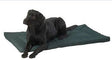 House of Paws Green Water Resistant Dog Mat, House of Paws, Large