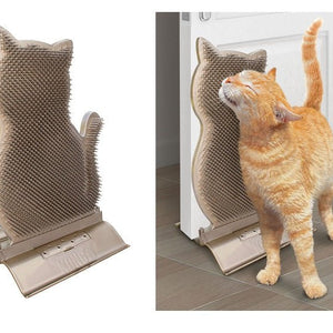 Cat Grooming