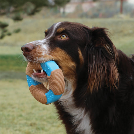 KONG CoreStrength Bamboo Bone, Kong,