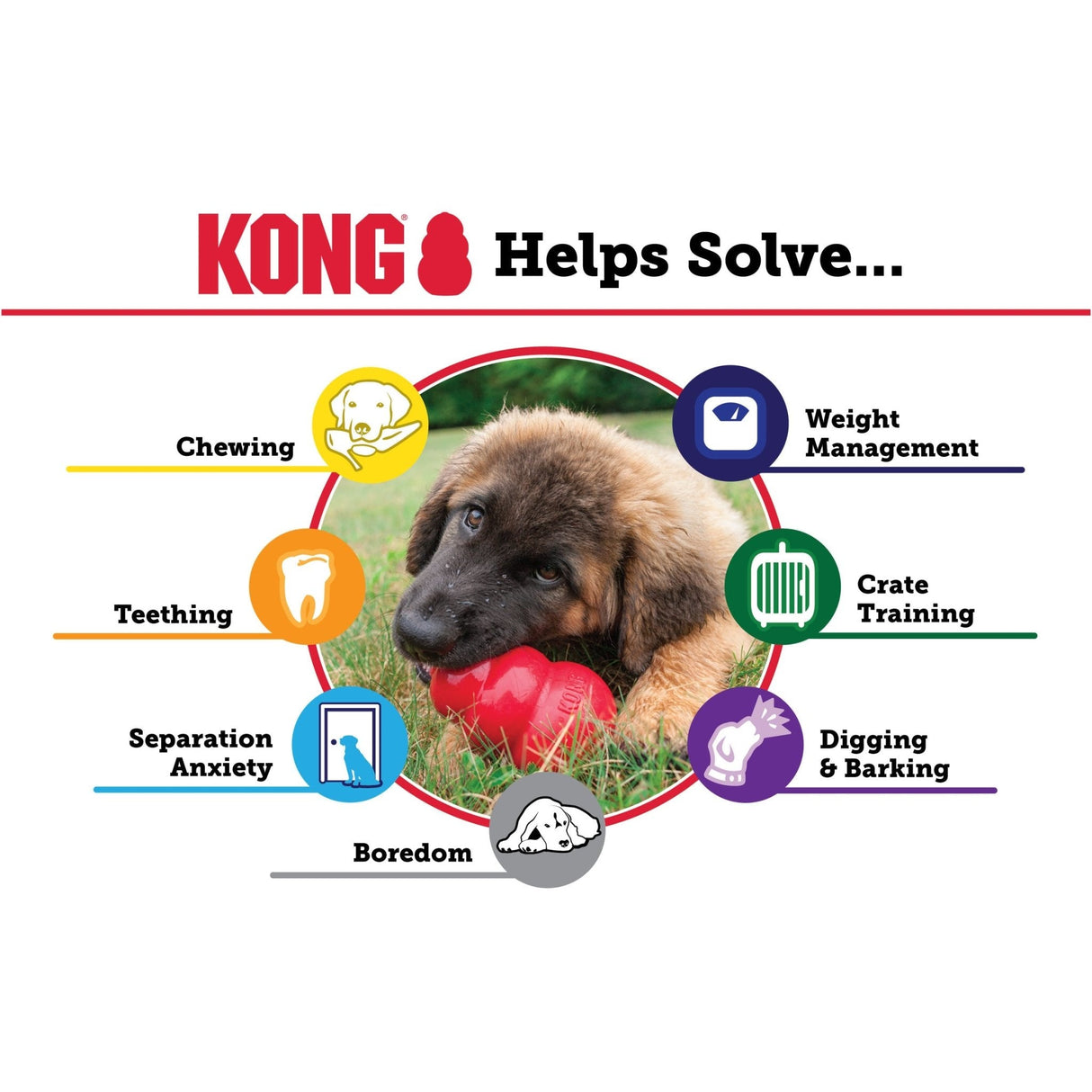 KONG Extreme Dog Toy, Kong, Medium
