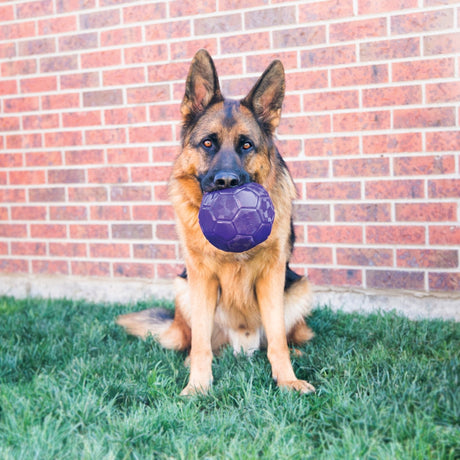 KONG Flexball Dog Toy, Kong,