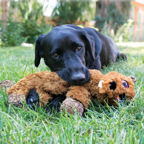 KONG Low Stuff Flopzie Fox Dog Toy, Kong,