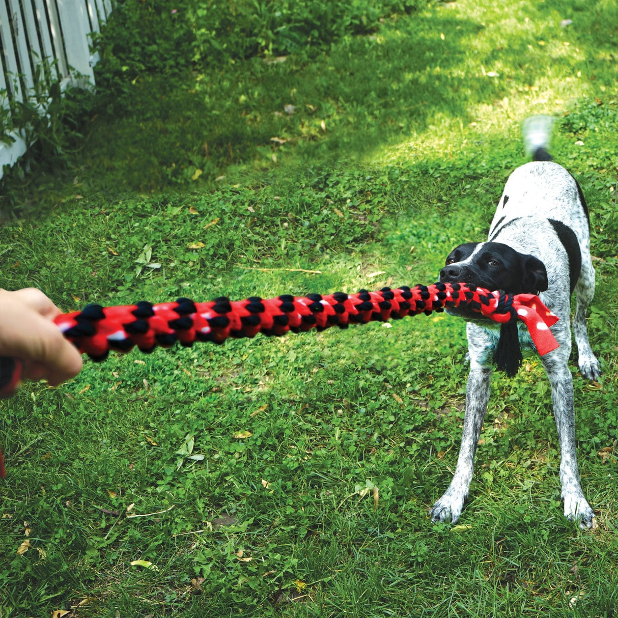 KONG Signature Rope Dual Knot Tug Dog Toy, Kong,