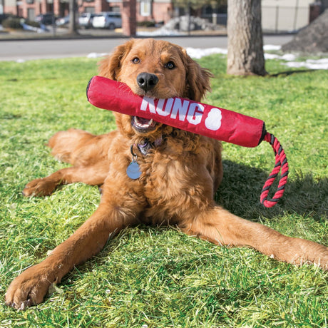 KONG Signature Stick with Rope Dog Toy, Kong,