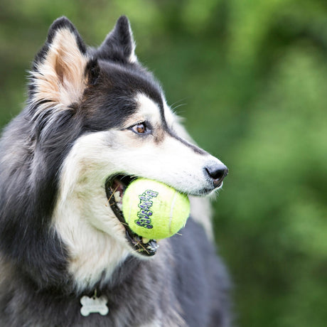 KONG SqueakAir Ball with Rope Dog Toy, Kong,