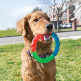 KONG Twistz Ring Dog Toy, Kong, Small