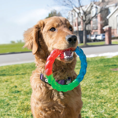 KONG Twistz Ring Dog Toy, Kong, Small