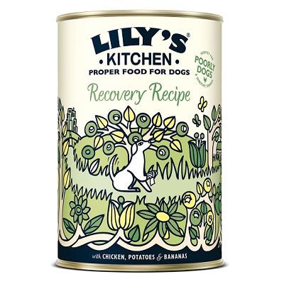 Lily's Kitchen Recovery Recipe Tins 6x400g, Lily's Kitchen,