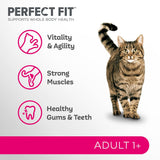 Perfect Fit Dry Cat Food with Salmon 2.8 kg, Perfect Fit,