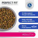 Perfect Fit Dry Cat Food with Salmon 2.8 kg, Perfect Fit,