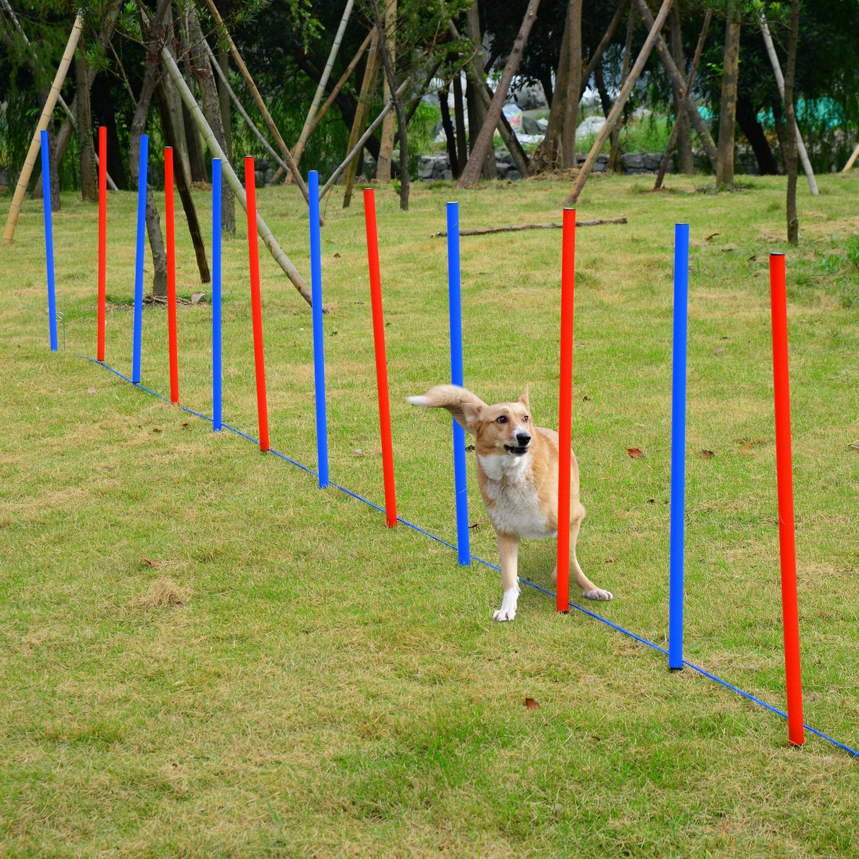 Pet Agility Training zig-zag Run/Jump Set, PawHut,