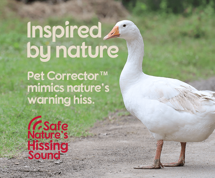 Pet Corrector Spray, Company of Animals, 30 ml