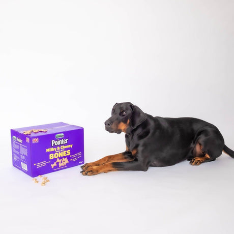 Pointer Milky & Cheesy Small Bite Bones 10kg, Pointer,