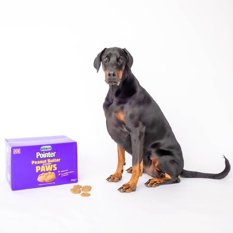 Pointer Wheat Free Peanut Butter Paws 10 kg, Pointer,