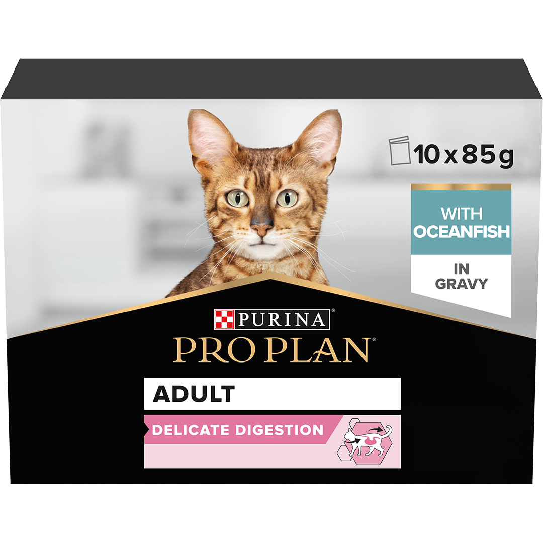 Pro Plan Delicate Digestion Adult Wet Cat Food Ocean Fish Pouches 4x (10x85g), Pro Plan,