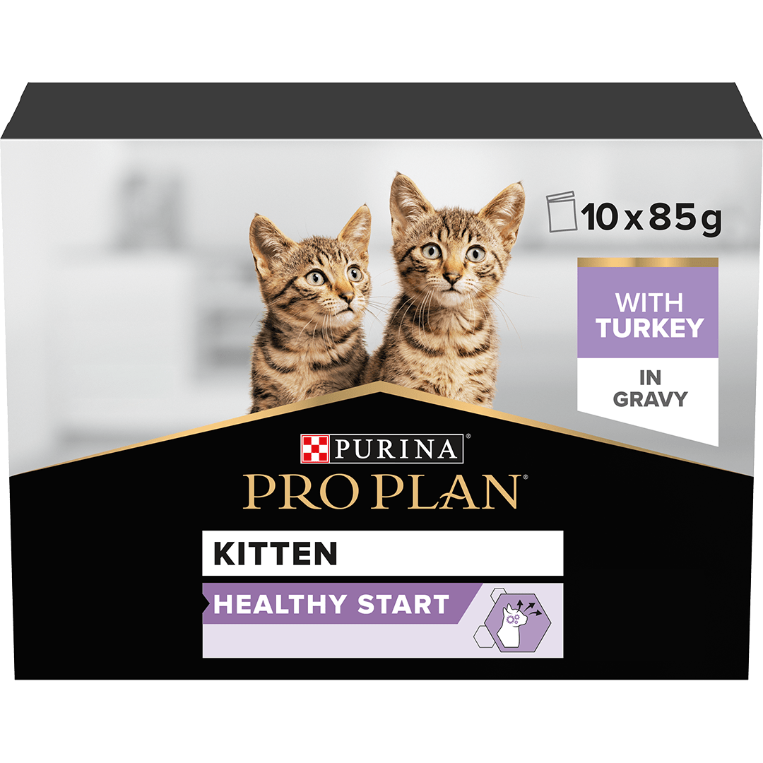 Pro Plan Healthy Start Kitten Wet Cat Food Turkey Pouches 4x (10x85g), Pro Plan,