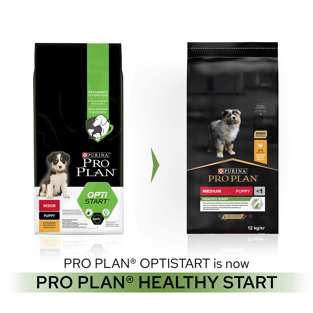 Pro Plan Medium Puppy Healthy Start Chicken Dry Dog Food 12 kg, Pro Plan,