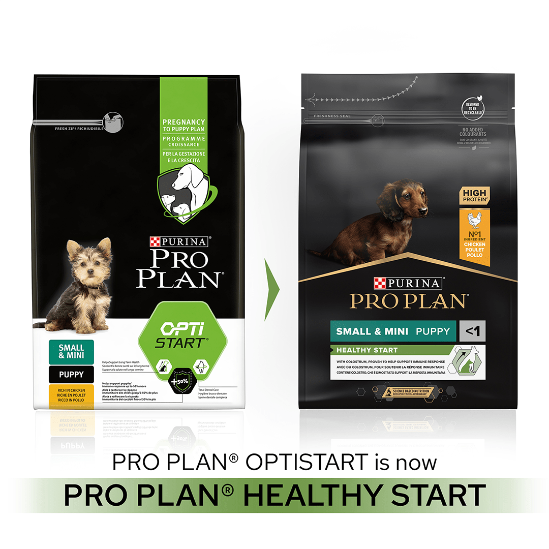 Pro Plan Small and Mini Puppy Healthy Start Chicken Dry Dog Food 3 kg, Pro Plan,