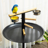 Rolling Metal Bird Play Stand - Perch & Feeding Station, PawHut,