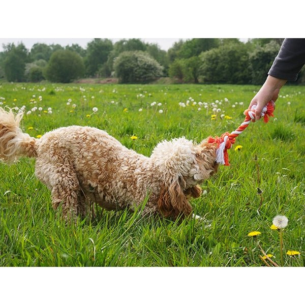 Rope Tug Bone Medium Dog Toy, Rosewood,