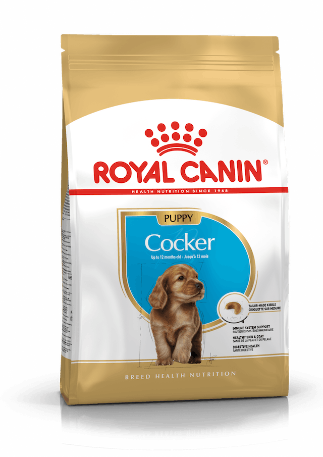 Royal Canin Cocker Spaniel Puppy 3 kg, Royal Canin,