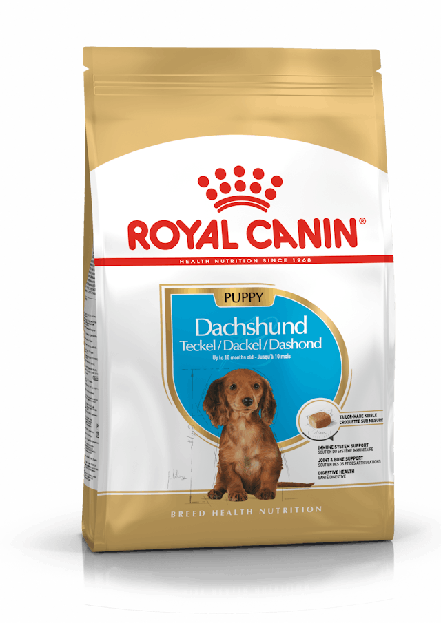 Royal Canin Dachshund Puppy 1.5 kg, Royal Canin,