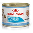 Royal Canin Tin Starter Mousse 12x195g, Royal Canin,