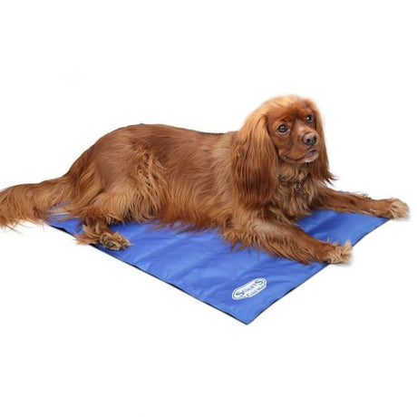 Scruffs Cool Mat Blue, Scruffs, M 77 x 62cm