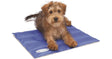 Scruffs Cool Mat Blue, Scruffs, S 50 x 40cm