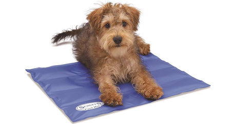 Scruffs Cool Mat Blue, Scruffs, S 50 x 40cm