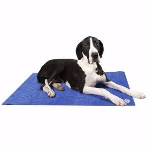 Scruffs Cool Mat Blue, Scruffs, XL 120 x 75cm