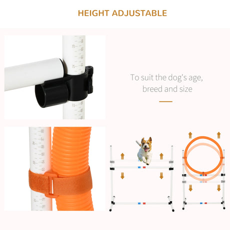 Set-of-3 Dog Agility Training Set, PawHut,