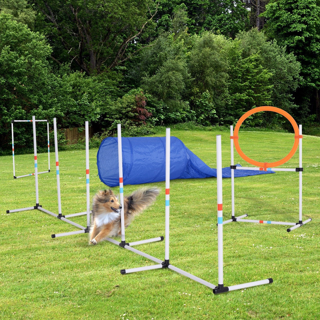 Set-of-5 Dog Agility Training Set, PawHut,