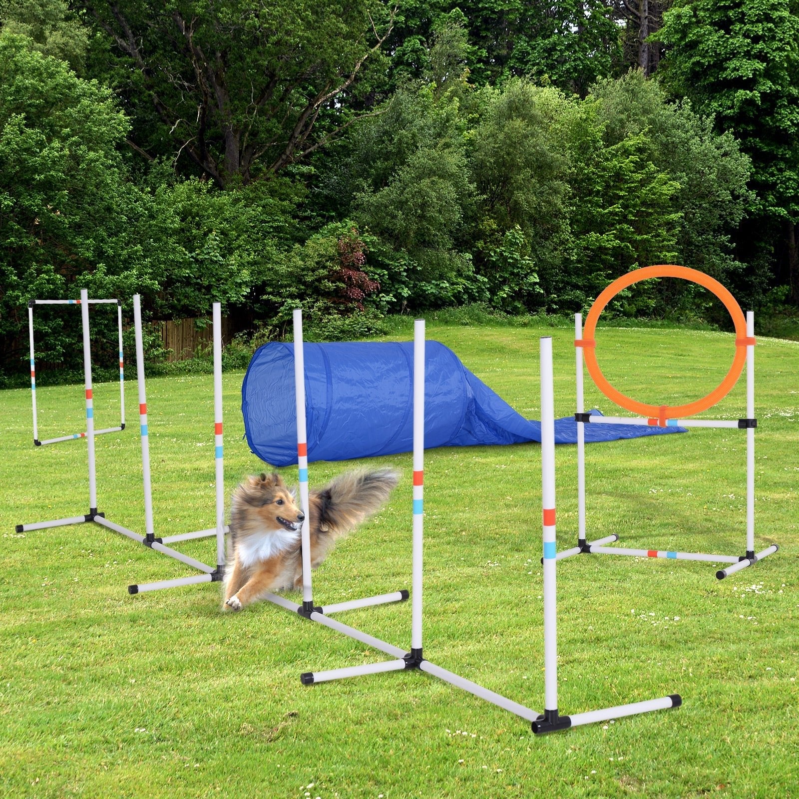 Set-of-5 Dog Agility Training Set, PawHut,