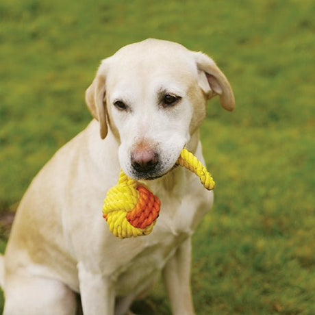 Tough Twist Rubber & Rope Ball Tug Dog Toy x3, Rosewood, 11"