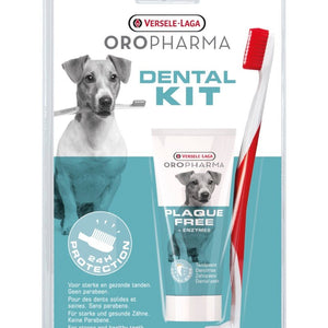 Dog Dental Care