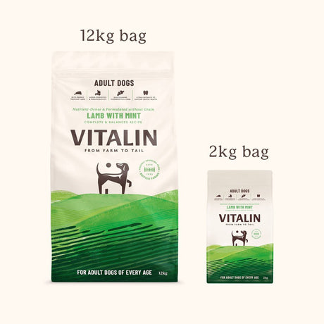 Vitalin Adult Lamb with Mint, Vitalin, 4x2kg