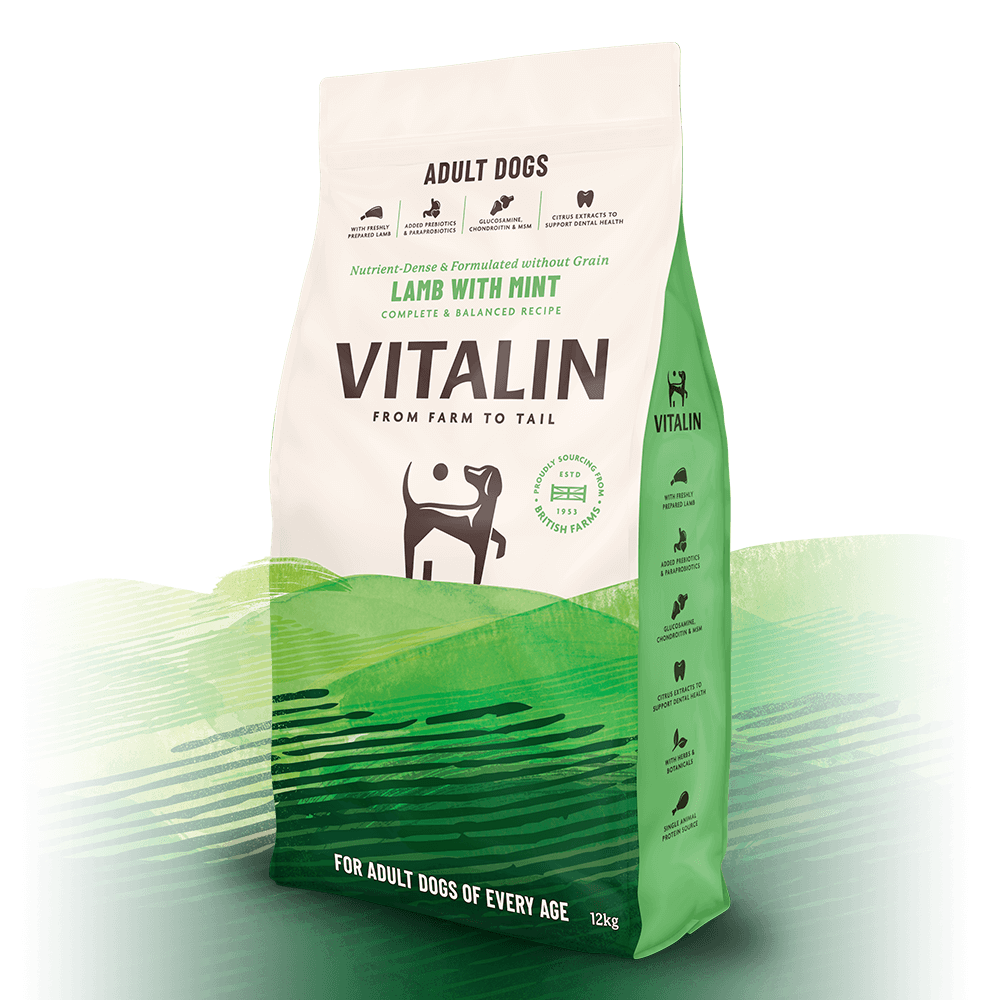 Vitalin Adult Lamb with Mint, Vitalin, 4x2kg