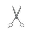 Wahl Stainless Steel Thinning Scissors 15cm, Wahl,
