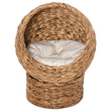 Wicker Cat Bed, Raised Rattan Cat Basket with Cylindrical Base, Soft Washable Cushion, 42 x 33 x 52cm, PawHut, Brown