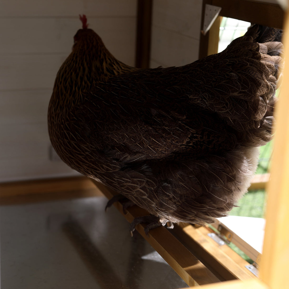 Wooden Chicken Coop with Run, Nesting Box, 197x93 cm, PawHut,