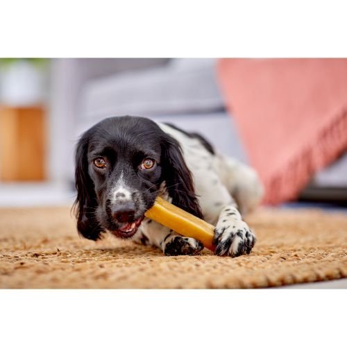 Yakers Turmeric Dog Chew, Yakers, XL