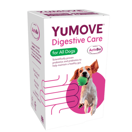 YuMOVE Digestive Care Dog 120 Tablets, YuMOVE,